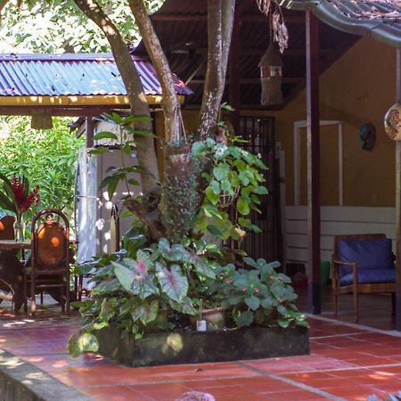 Hôtel Mi Refugio Tayrona à Santa Marta  Extérieur photo