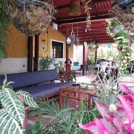 Hôtel Mi Refugio Tayrona à Santa Marta  Extérieur photo