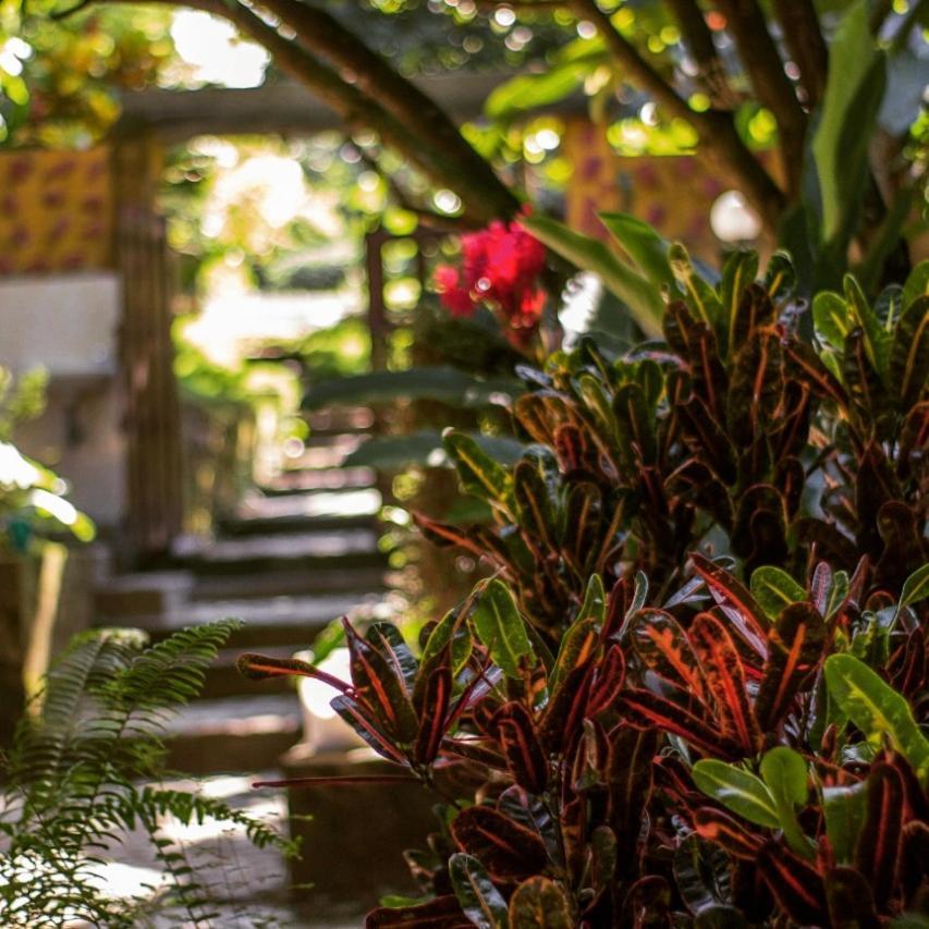 Hôtel Mi Refugio Tayrona à Santa Marta  Extérieur photo