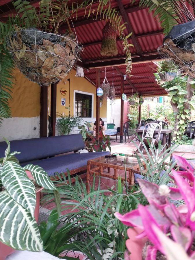Hôtel Mi Refugio Tayrona à Santa Marta  Extérieur photo