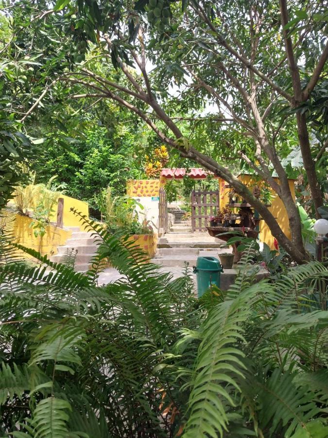 Hôtel Mi Refugio Tayrona à Santa Marta  Extérieur photo